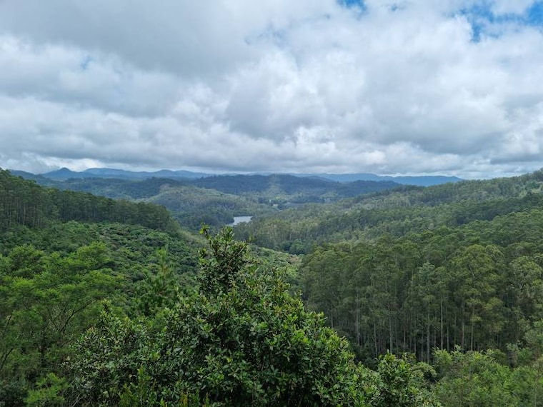 Kodaikanal_Berijam_Lake_4