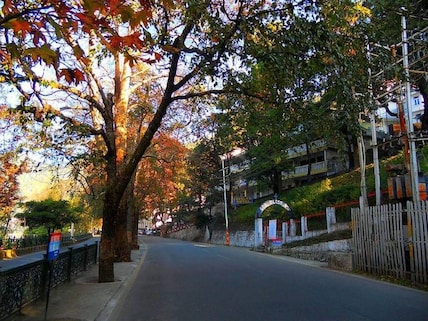 Mall Road Near Nainital