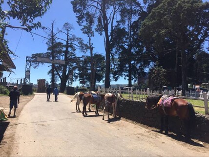 Horse Riding in Nuwara Eliya