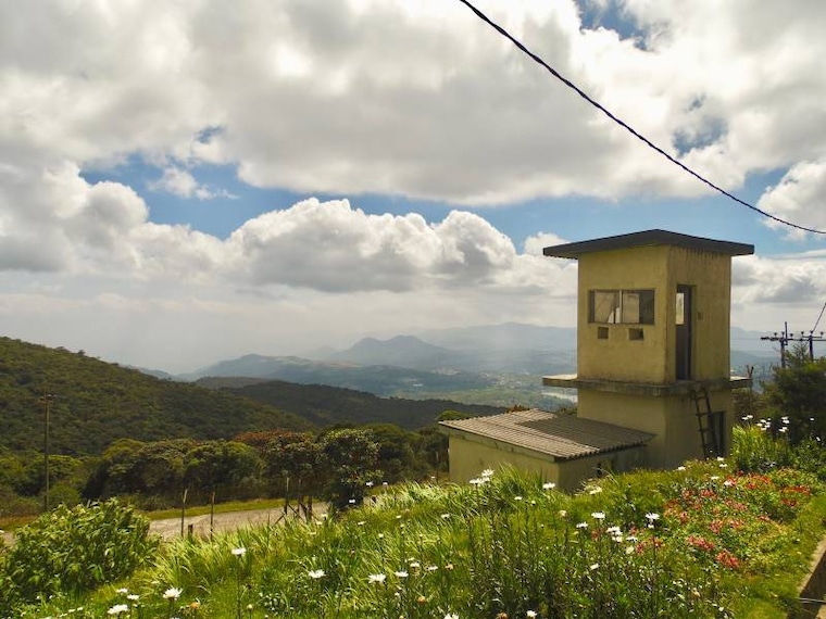Nuwara_Eliya_Pidurutalagala_Mount_Pedro_7