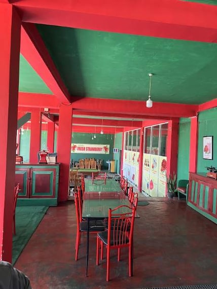 Nuwara_Eliya_Strawberry_Picking_at_Adma_Agro_5