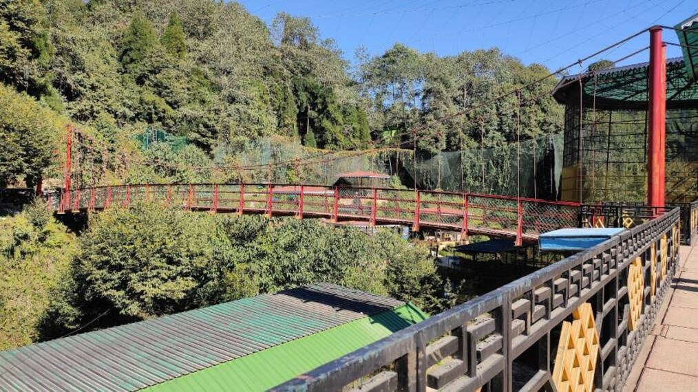 Pelling_Bird_Watching_in_Pelling_8