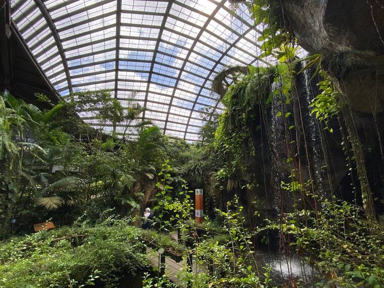 Entopia Penang Butterfly Farm | Penang - What to Expect | Timings ...