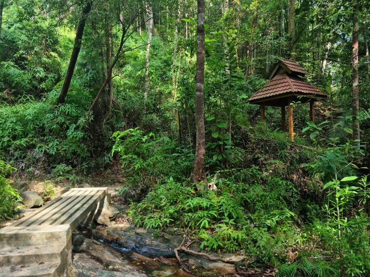 Penang_Penang_National_Park_9