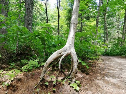 Jacques-Cartier National Park Hike