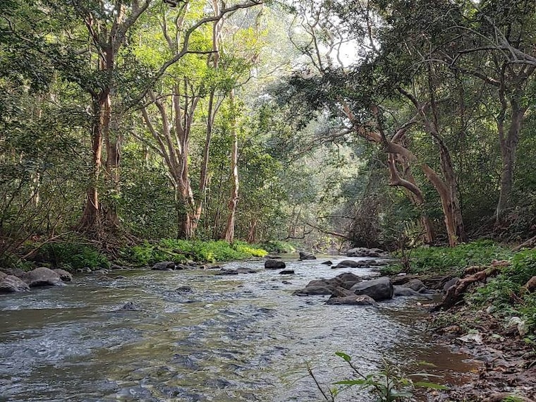 Rajahmundry_Maredumilli_9