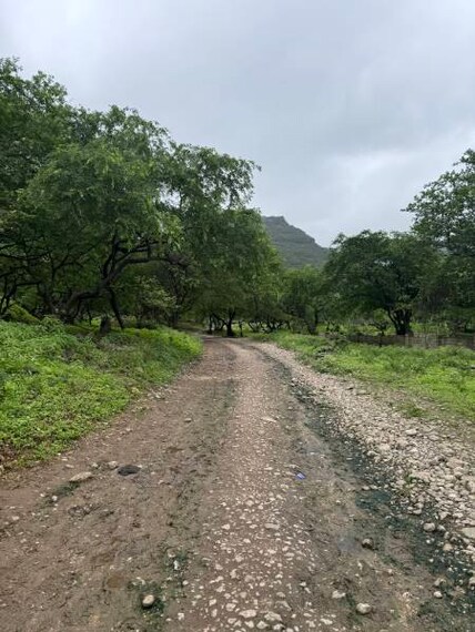 Salalah_Go_Waterfall_Hopping_2