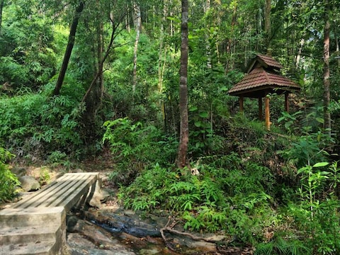 Penang National Park