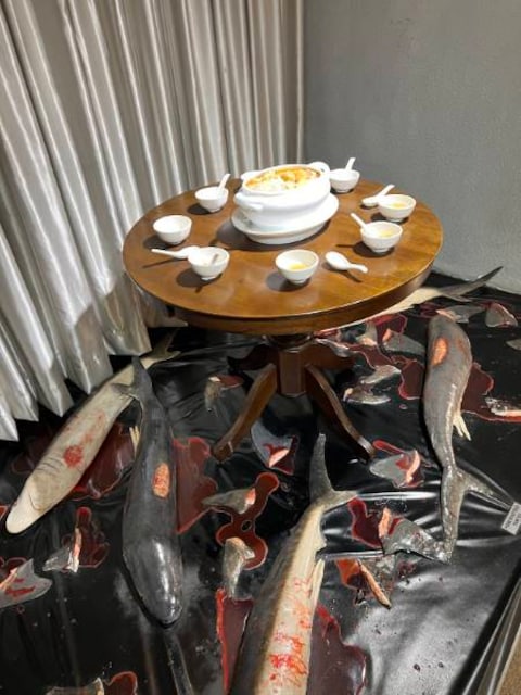 Wonderfood Museum