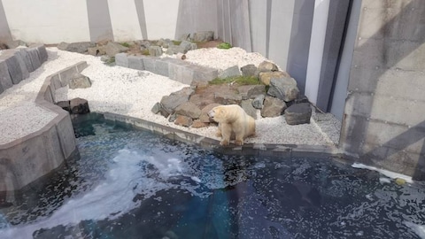 Aquarium du Quebec