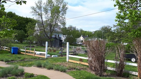 Ile d Orleans