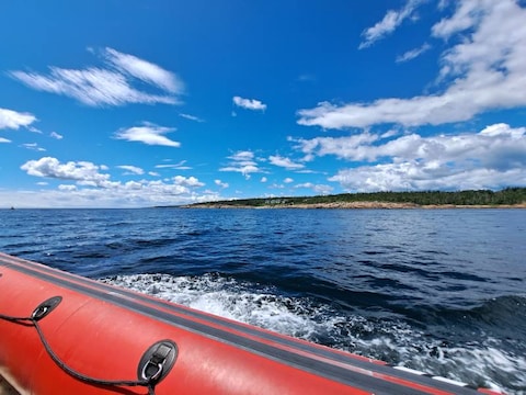 Whale Spring Watching in Quebec