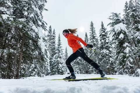 Winter Snowshoeing in Quebec