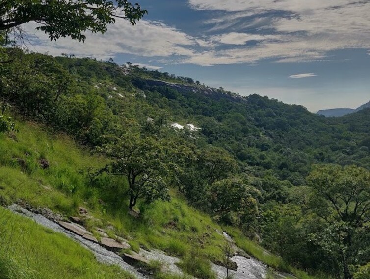 Devarayanadurga_State_Forest_1