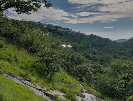 Devarayanadurga State Forest