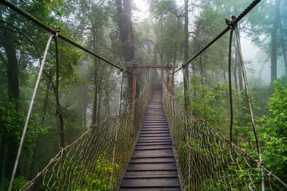 Kalimpong_tv_destination_img_4