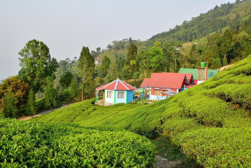 Historical Places in Kurseong