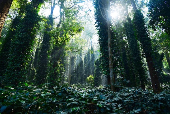 ArakuValley_tv_destination_img_2