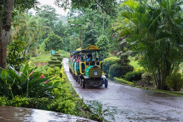 ArakuValley_tv_destination_img_5