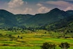ArakuValley_tv_destination_img_7