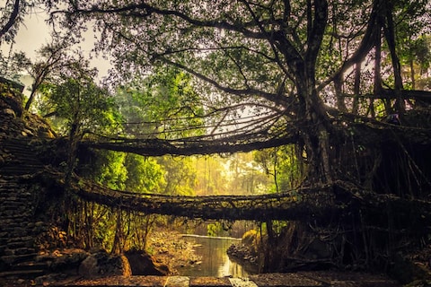 Image from popular destination Cherrapunji - Paradise Amidst Hills in Meghalaya