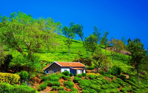 Image from popular destination Coonoor - Land of the Nilgiri Tea & Hills