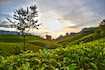 Coonoor_tv_destination_img_2
