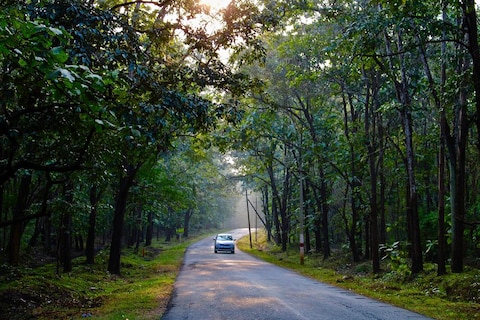Image from popular destination Dandeli - A Wildlife Enthusiast's Paradise