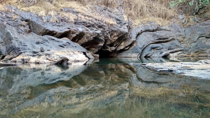 Dandeli_tv_destination_img_5