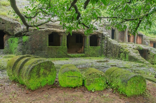 Dapoli_tv_destination_img_4