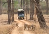Kabini_tv_destination_img_3