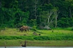 Kabini_tv_destination_img_4