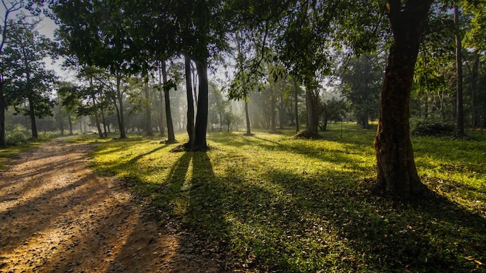 Kabini_tv_destination_img_6