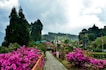 Kalimpong_tv_destination_img_2