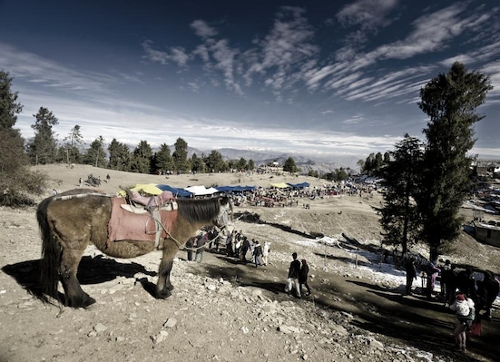 Kufri_tv_destination_img_2