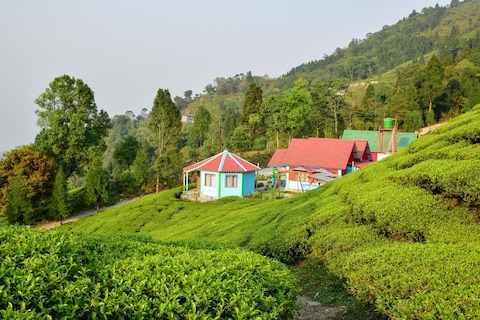 Image from popular destination Kurseong - Quaint Hill Station