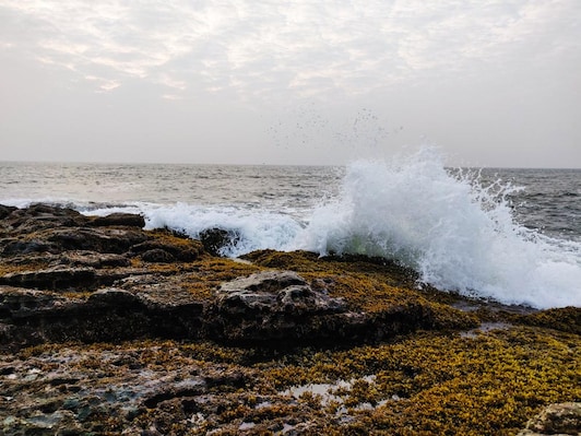 Malvan_tv_destination_img_3