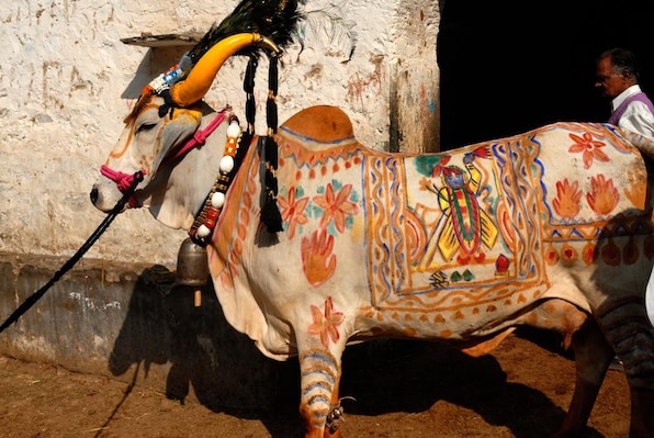 Nathdwara_tv_destination_img_4