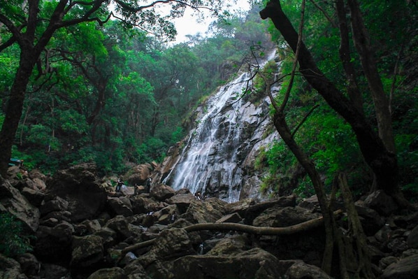 Pachmarhi_tv_destination_img_5