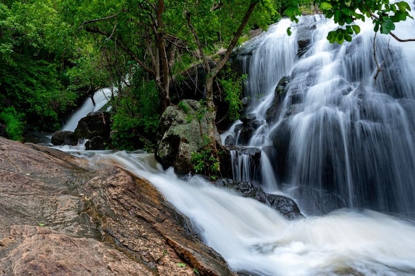 Palakkad_tv_destination_img_3