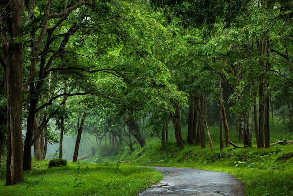 Palakkad_tv_destination_img_4