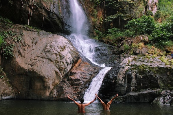 Palakkad_tv_destination_img_5