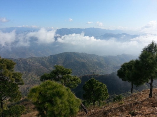 Panchkula_tv_destination_img_4