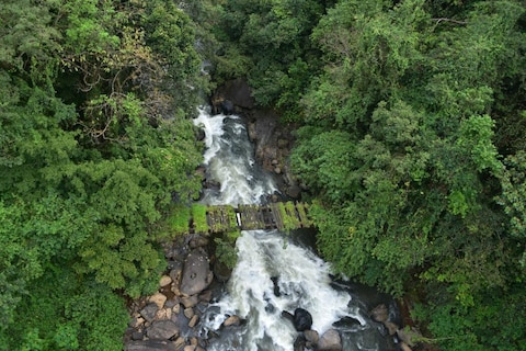 Image from popular destination Sakleshpur - Hidden Temple Town in the Western Ghats
