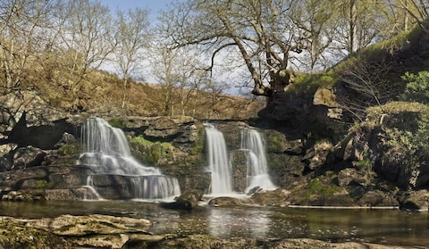 Image from popular destination Sasan Gir - Nature Lover’s Paradise in Gujarat