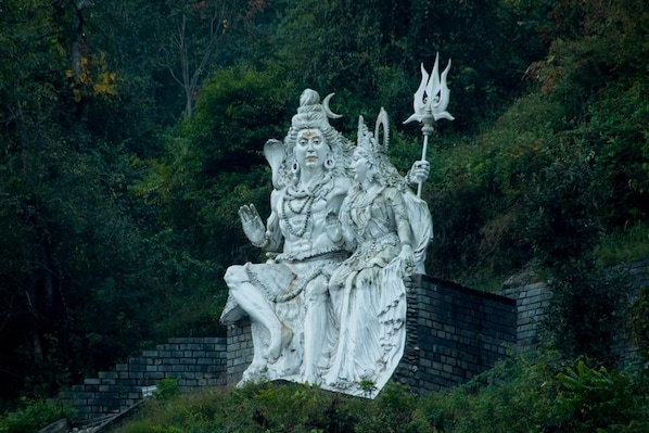 Solan_tv_destination_img_3