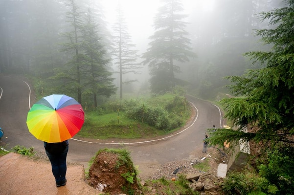 Solan_tv_destination_img_6