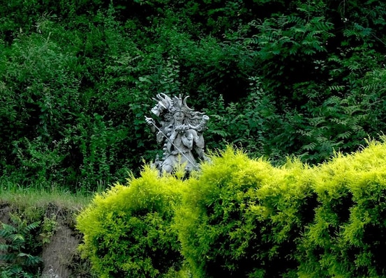 Solan_tv_destination_img_7