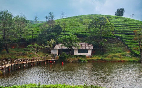Image from popular destination Vagamon - Kerala's Paragliding Paradise
