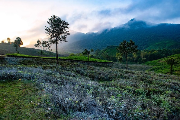 Vagamon_tv_destination_img_4